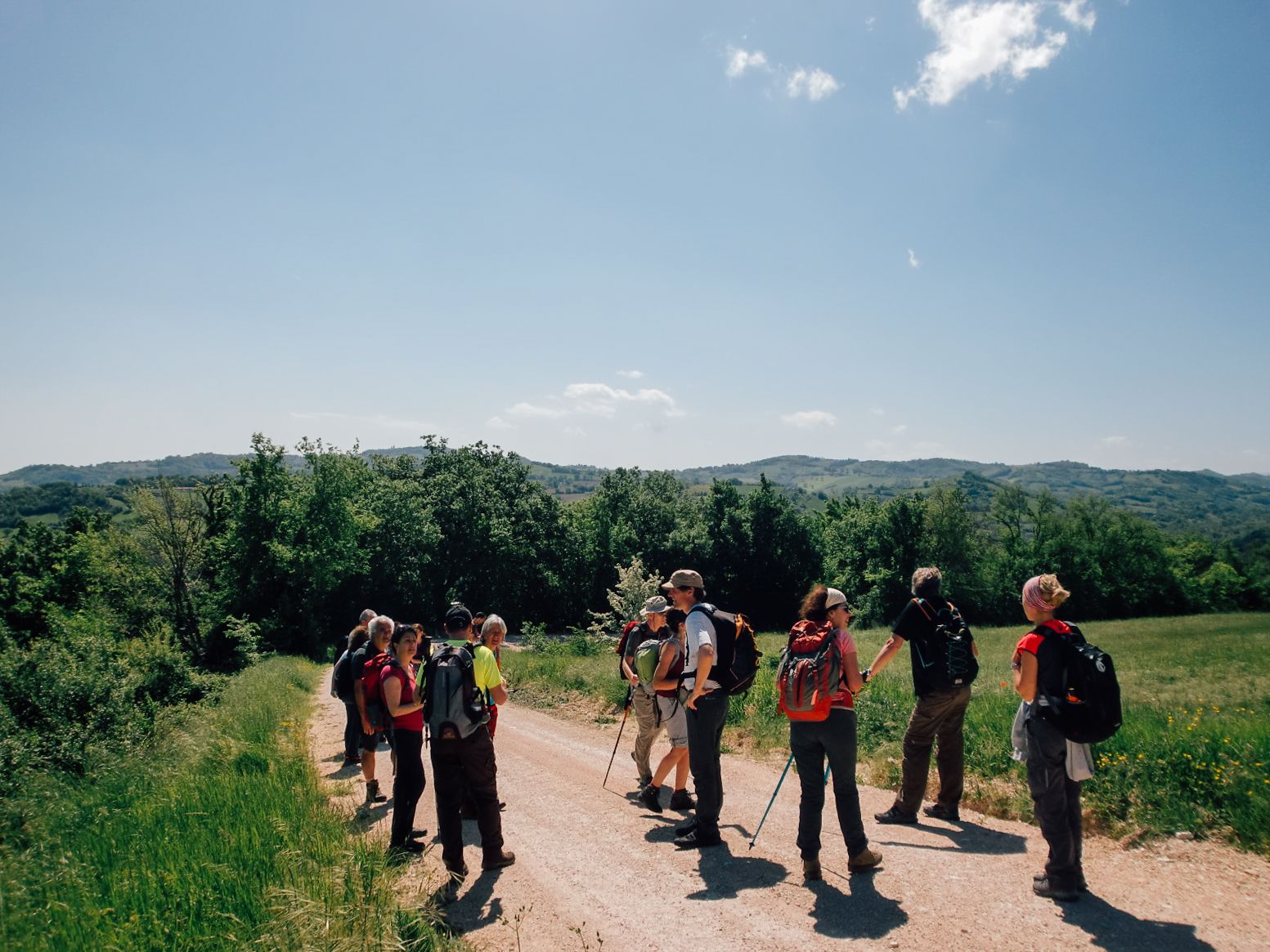 Gruppo di escursionisti, bastoni da trekking, briefing, sentiero, paesaggio verde e alberato, Monti Sibilini, Marche